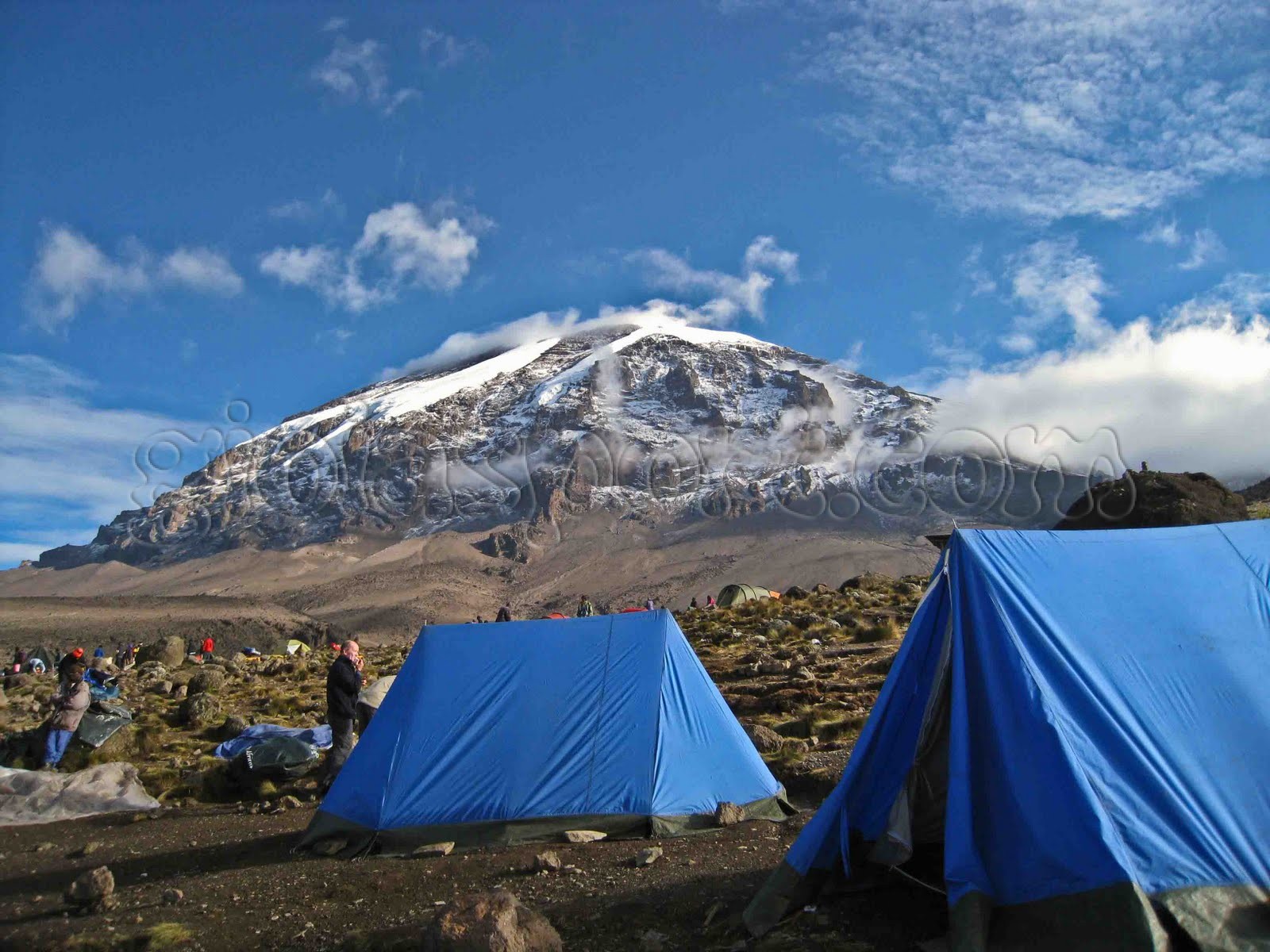 Route camping. Мачаме Килиманджаро. Килиманджаро Мавензи вершина. Кемпинг Кения Килиманджаро. Марангу Килиманджаро домики.
